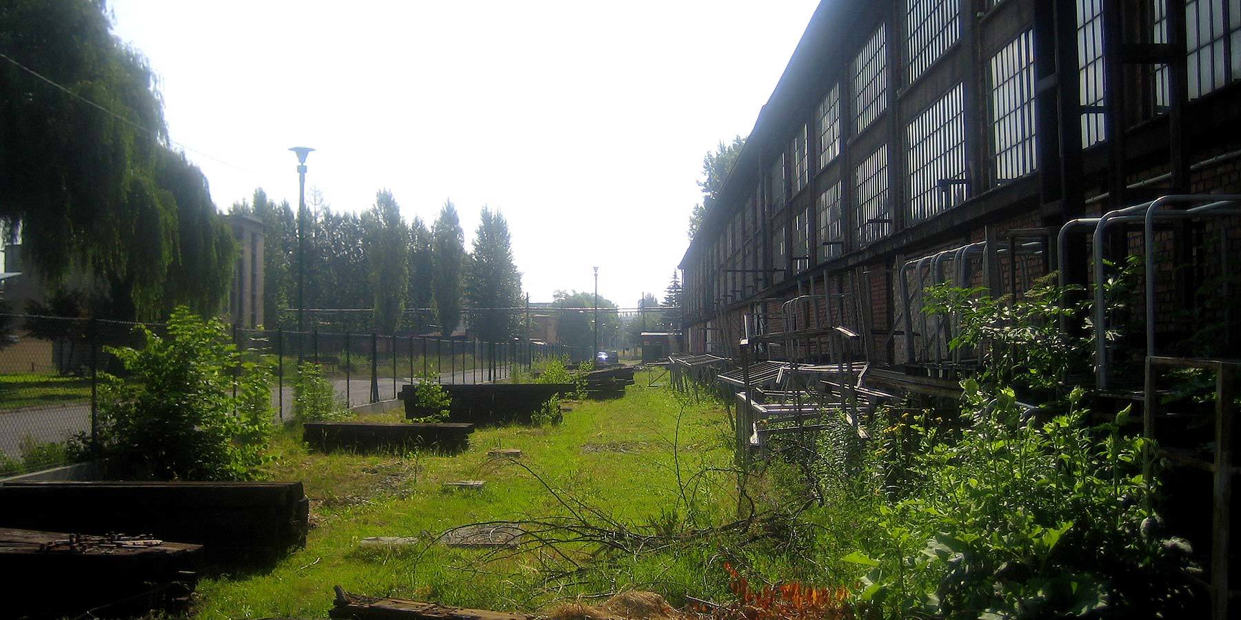 ambram 01